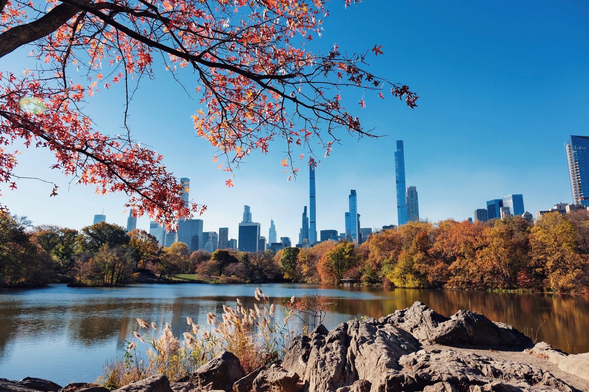 Central Park com folhagem outonal vibrante, um lago reluzente, os arranha-céus de Manhattan ao fundo e folhas vermelhas de outono em primeiro plano sob um céu azul intenso.