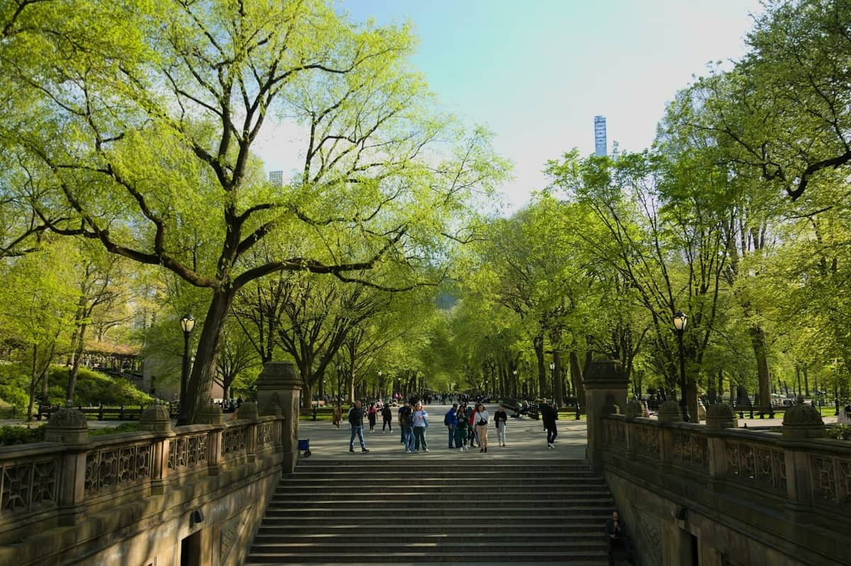 Central Park im Frühling mit Menschen, die unter laubigen grünen Bäumen spazieren, ikonische NYC-Gebäude im Hintergrund sichtbar.