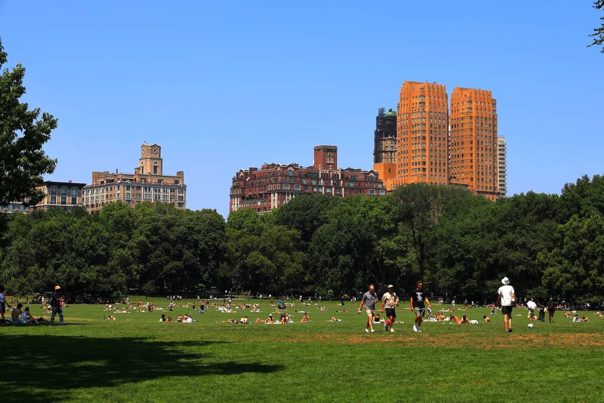 Menschen entspannen und treiben Sport an einem sonnigen Tag auf dem Great Lawn im Central Park mit der NYC-Skyline hinter den Bäumen.