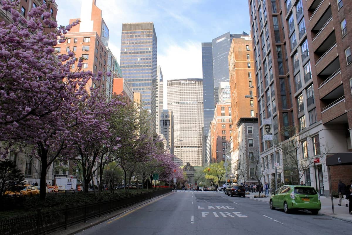 Frühlingsgasse in Manhattan gesäumt von blühenden Kirschbäumen, hohen Wohngebäuden und Fußgängern auf den Gehwegen.