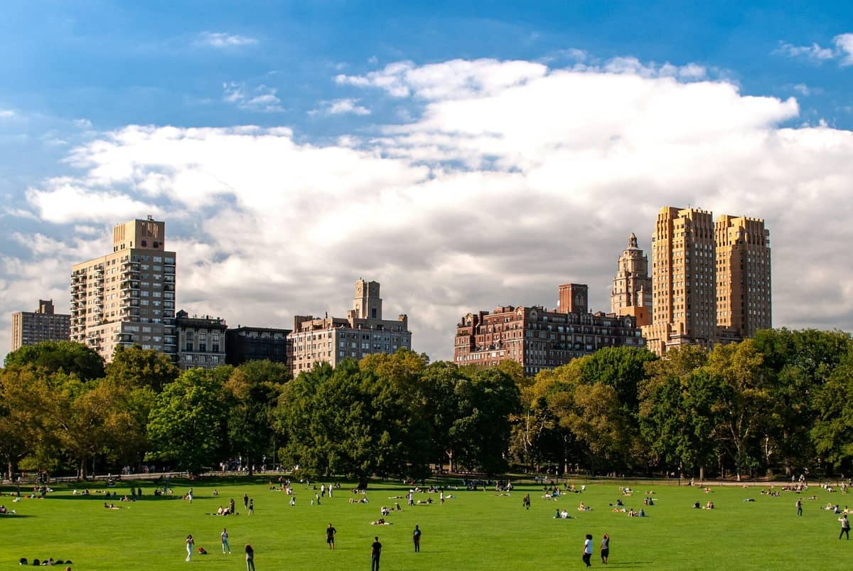ผู้คนพักผ่อนบนทุ่งหญ้าขนาดใหญ่ใน Central Park โดยมีเส้นขอบฟ้าของ New York City เป็นฉากหลังในวันที่แดดจ้า