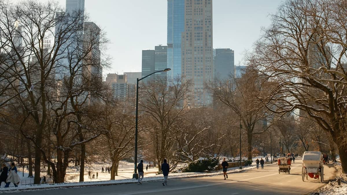 Winterszene im Central Park, New York City, mit Menschen, die auf einem schneegesäumten Weg spazieren und joggen, im Hintergrund sind Wolkenkratzer zu sehen.