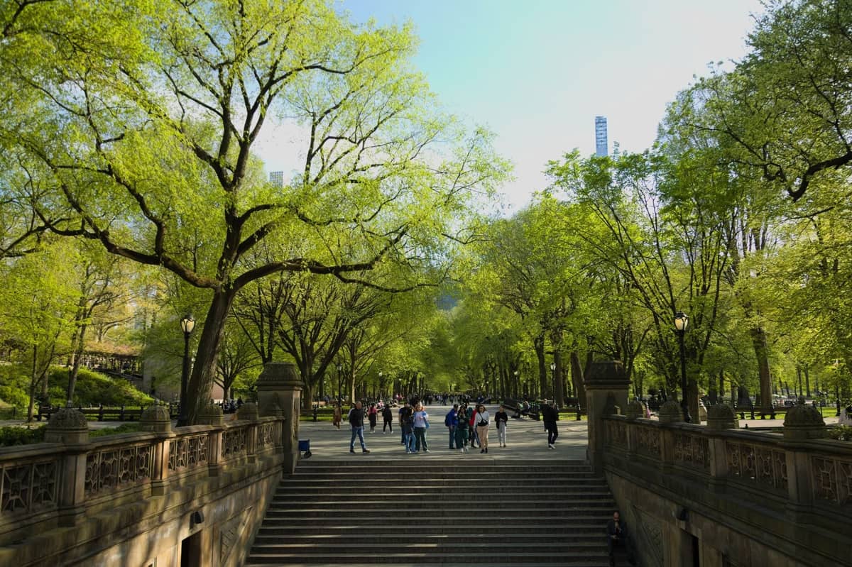Breite Steintreppe, die in den Central Park führt, umgeben von Bäumen und Menschen, die an einem sonnigen Tag den Außenbereich genießen.