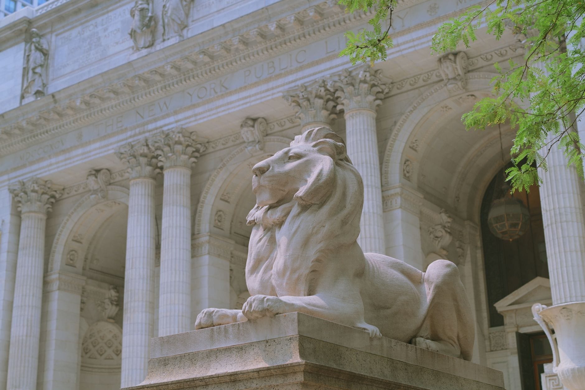 L'iconica statua del leone in marmo davanti allo Stephen A. Schwarzman Building della New York Public Library, con le maestose colonne e gli archi Beaux-Arts sullo sfondo.