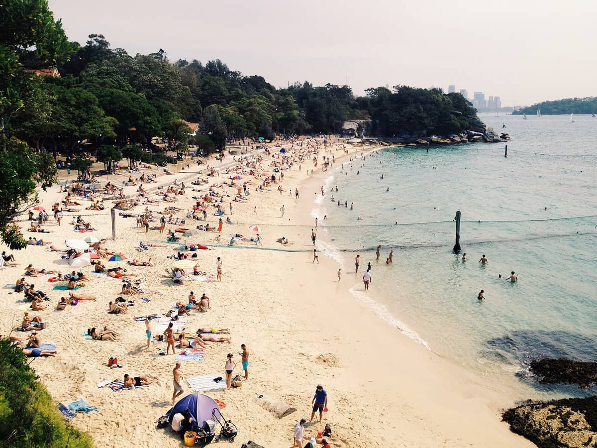 Vista panorámica de Shark Beach en Nielsen Park, con la orilla de arena, la red de la zona de nado y mucha gente disfrutando de la playa y los jardines en un día soleado.