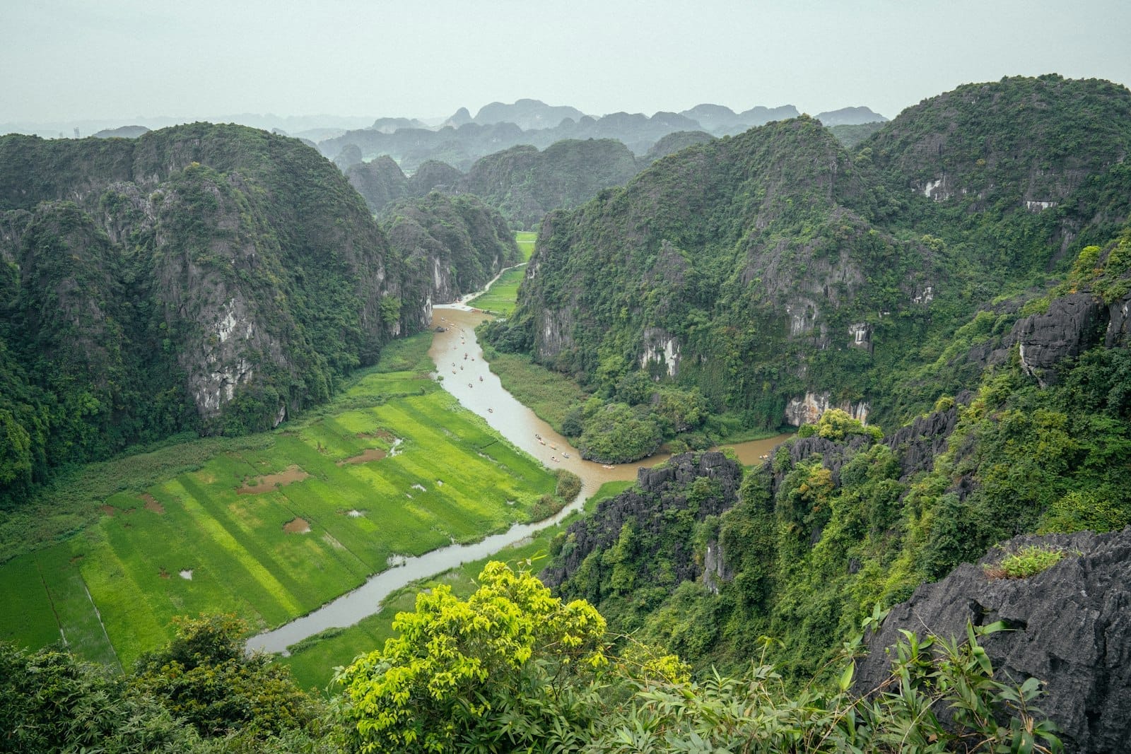 A lush green valley in Ninh Bình, with winding rivers and dramatic limestone karst mountains under an overcast sky, seen from above.
