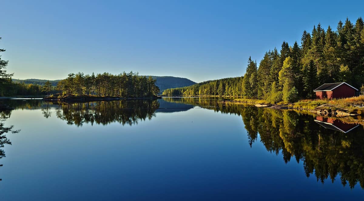 ทะเลสาบเงียบสงบ ล้อมด้วยป่า Nordmarka หนาแน่น ต้นไม้เขียวสะท้อนน้ำ ใต้ฟ้าใส