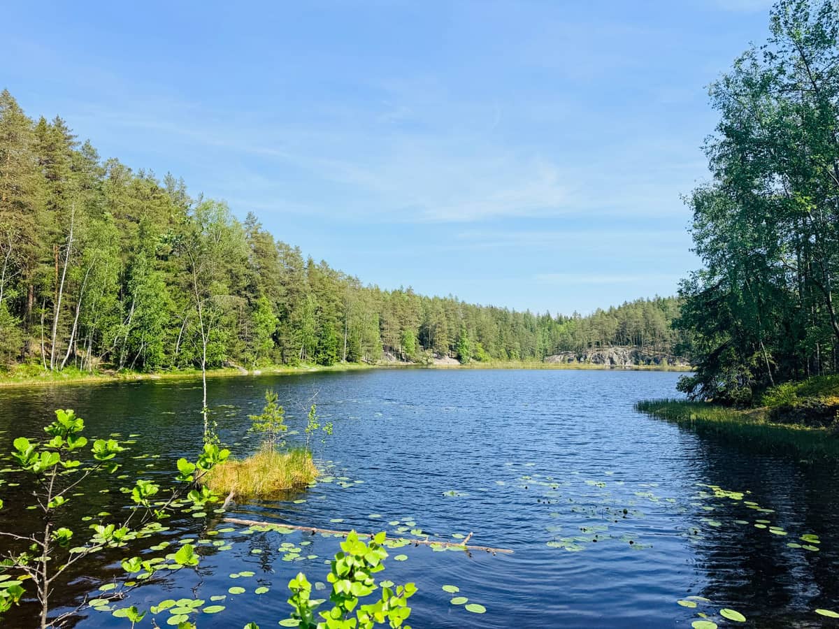 Vista de verão ensolarado de um lago glacial cercado por densa floresta antiga e afloramentos de granito no Parque Nacional de Nuuksio, Espoo, Finlândia.