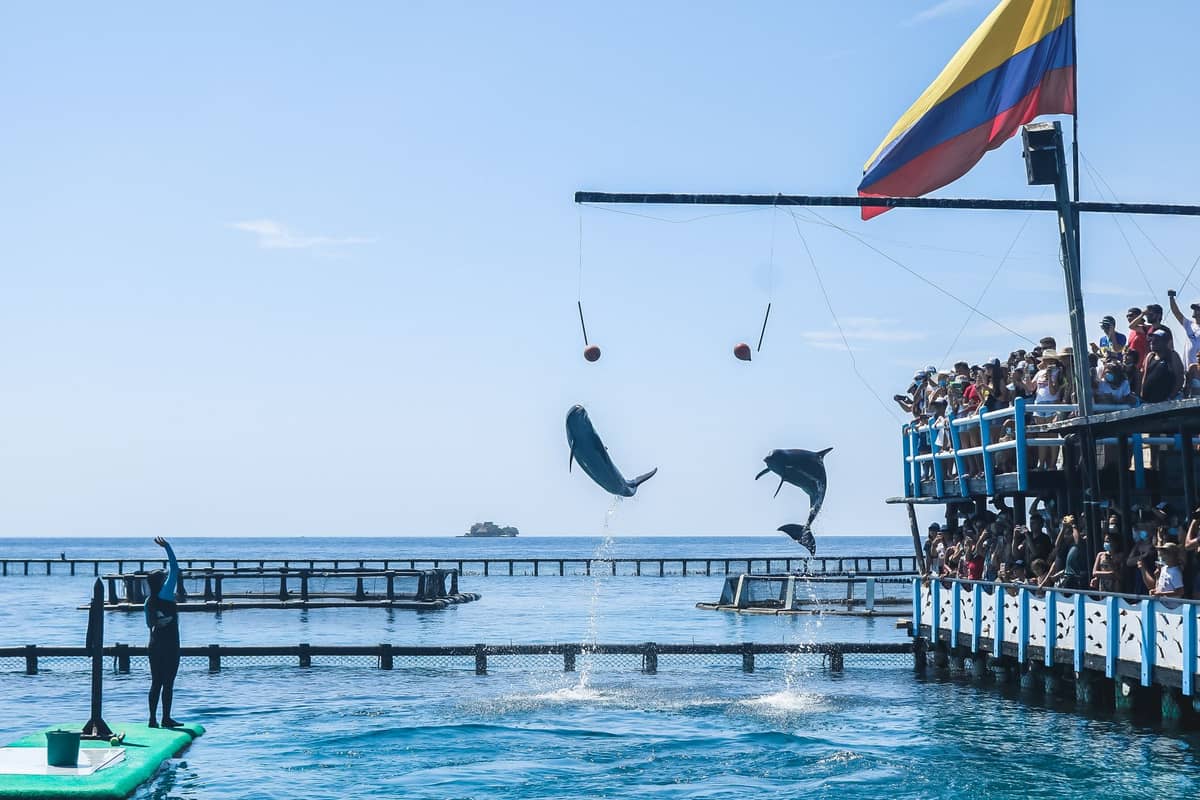 Dolphin show at Oceanario Islas del Rosario with dolphins leaping from sea pools, a trainer, cheering crowds, and the Colombian flag overhead.