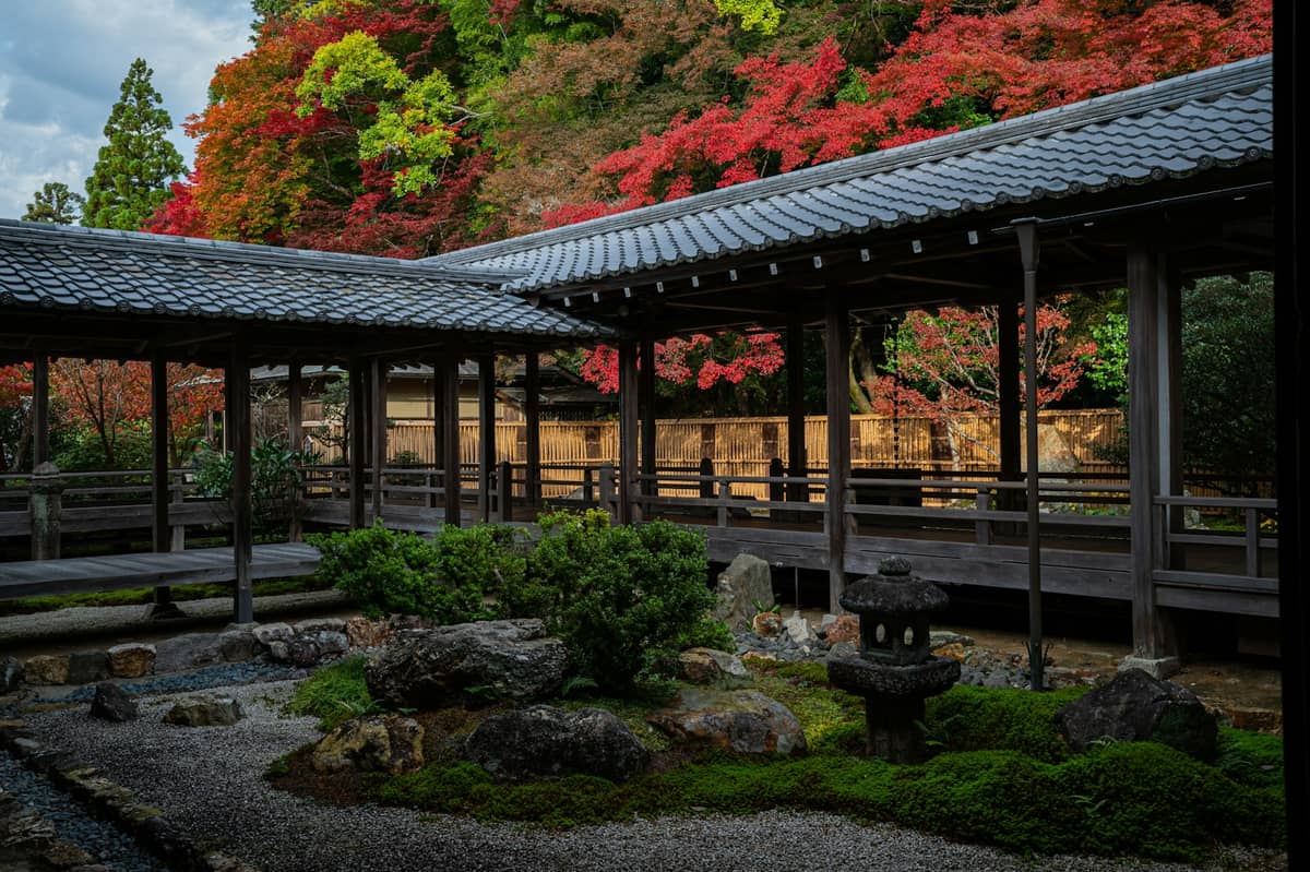 A peaceful Japanese temple garden in Ohara, Kyoto, with a carpet of moss, traditional wooden walkways, and colorful maple trees during autumn.