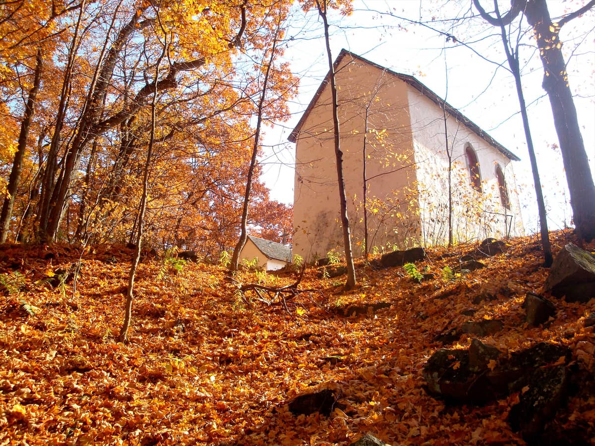 Blick auf die historische Kalvarienkapelle, umgeben von herbstlichem Wald im Parc national d'Oka, mit goldenen Blättern auf dem Boden und den Bäumen.