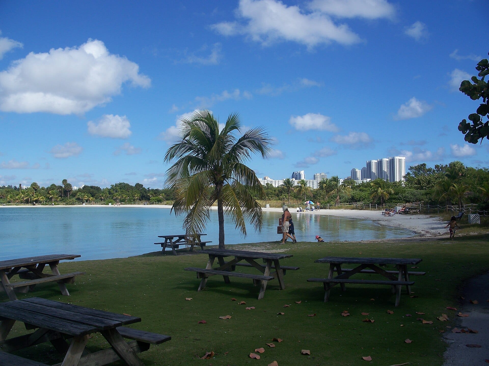 Tavoli da picnic sotto le palme con vista sulle acque calme e sulla riva sabbiosa all'Oleta River State Park, con lo skyline di Miami visibile sullo sfondo.
