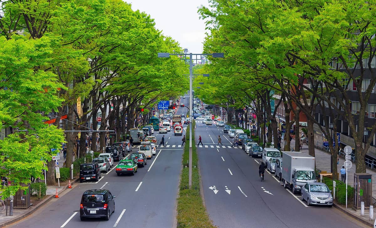 Omotesando Avenue in Tokyo lined with lush green zelkova trees, busy with cars and people, showcasing the broad and stylish grand street.