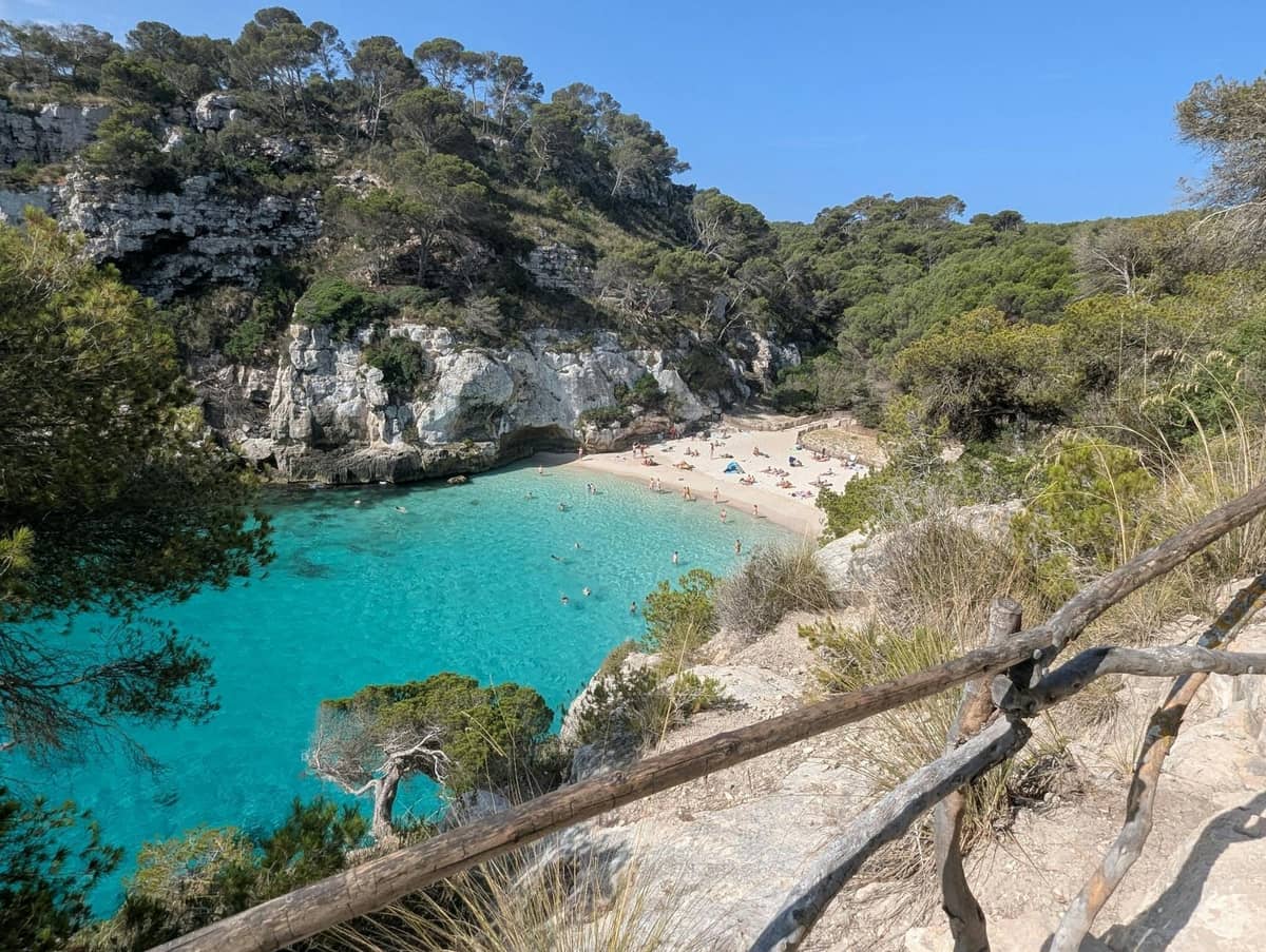 Piccola insenatura con acqua turchese, spiaggia sabbiosa, bagnanti e scogliere rocciose coperte di pini, vista da una rustica recinzione in legno.