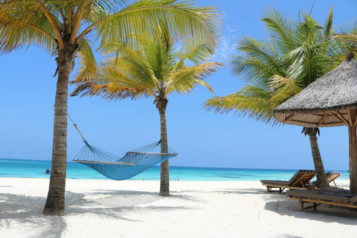 Biała piaszczysta plaża na Zanzibarze z palmami, niebieskim hamak, słomianym zadaszeniem i turkusowym oceanem pod słonecznym niebem.