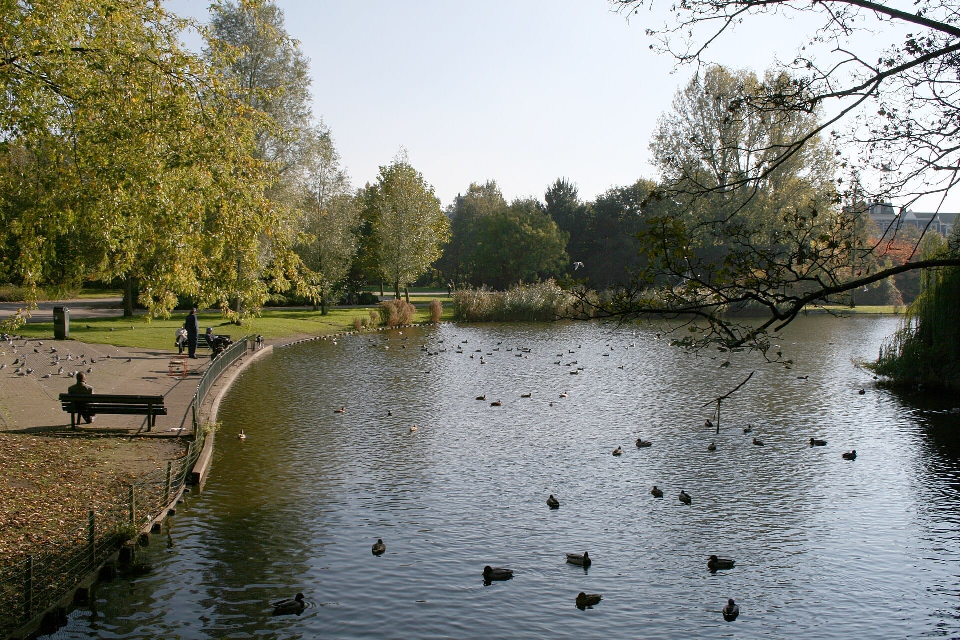 Estanque del Oosterpark en Ámsterdam con patos nadando, árboles verdes y personas sentadas en bancos bajo un cielo despejado.