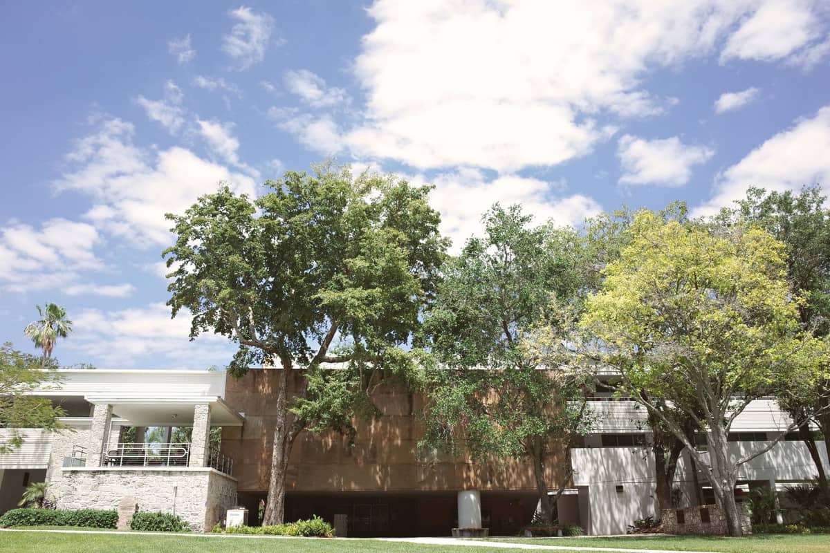 Modernes Gebäude, teilweise von Bäumen und blauem Himmel verdeckt, wahrscheinlich Teil eines Museums oder einer Kultureinrichtung.