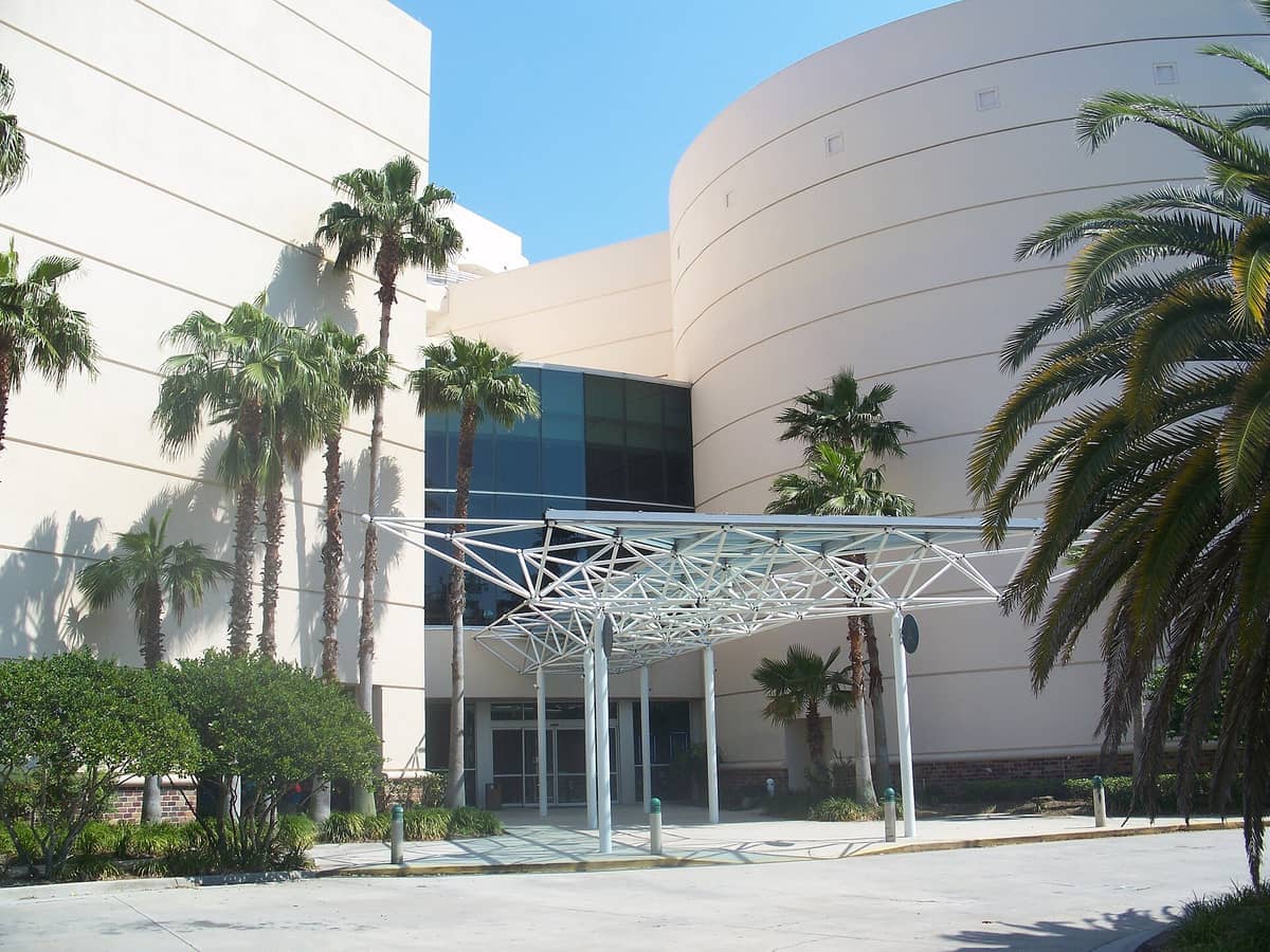 Exterior of the Orlando Science Center with modern white architecture, glass windows, palm trees, and a shaded metal entrance structure under a clear blue sky.