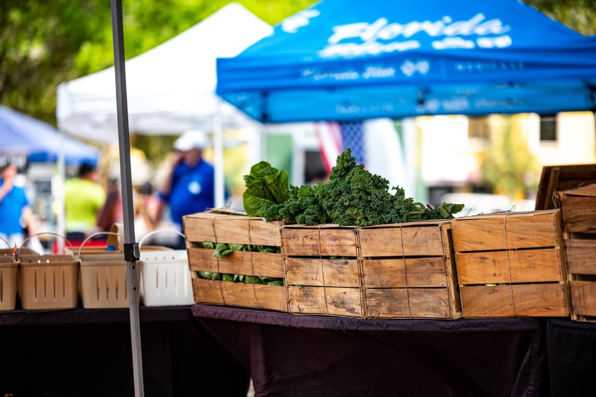 Holzkisten mit Blattgemüse und frischen Produkten an einem Marktstand im Freien, mit einem blauen Florida-Sonnendach im Hintergrund