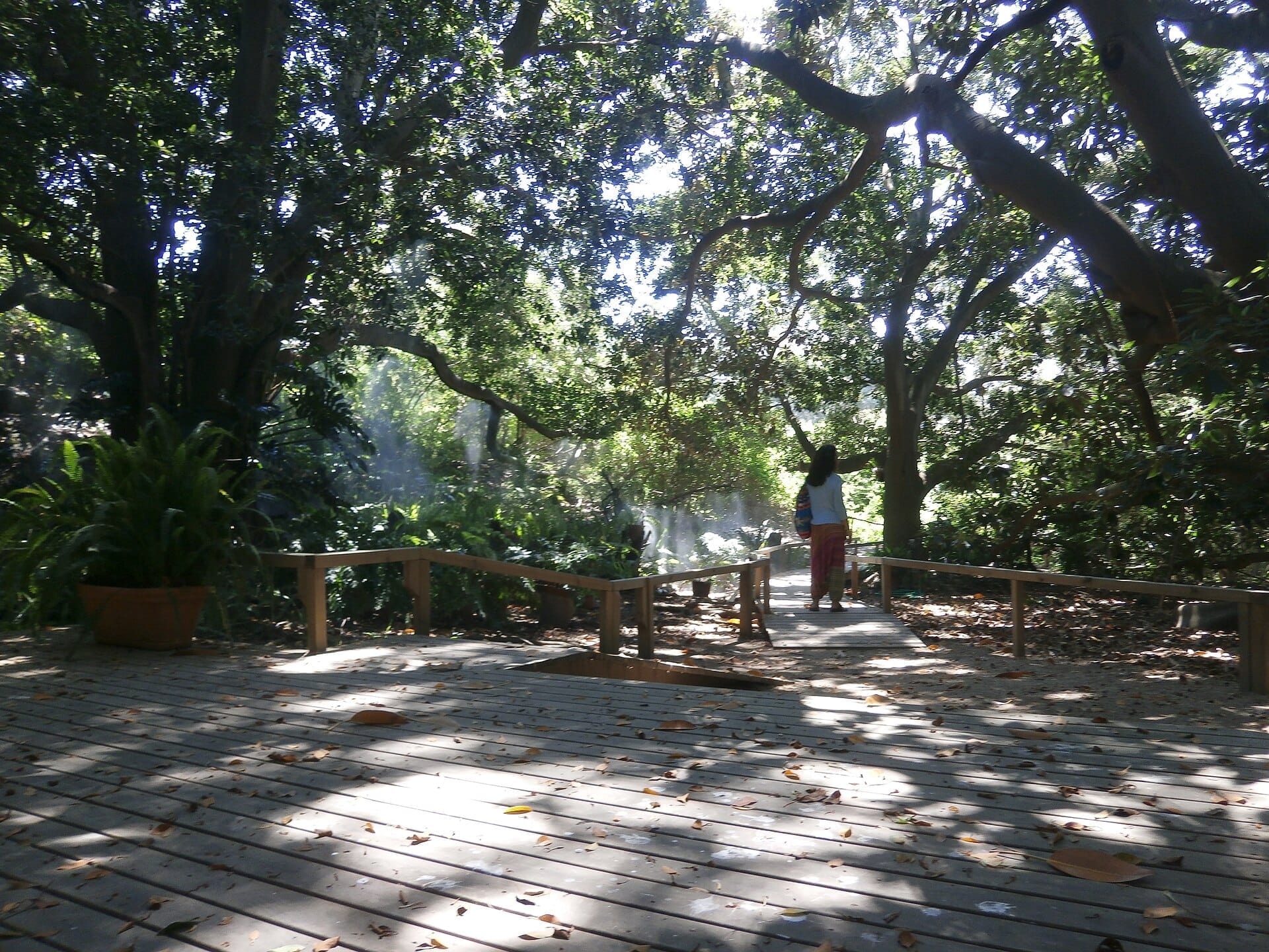 Holzweg unter üppigen, belaubten Bäumen im Orto Botanico di Cagliari, mit geflecktem Sonnenlicht und einer Person, die den ruhigen Garten erkundet.