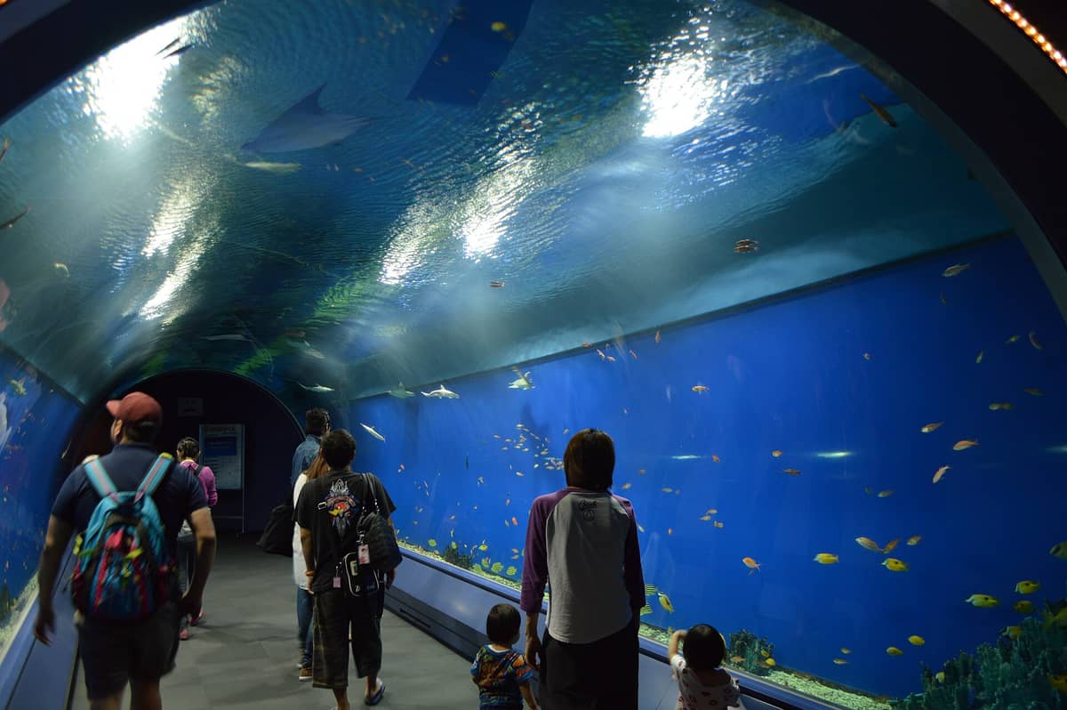 Visitors walking through the iconic underwater tunnel at Osaka Aquarium Kaiyukan, surrounded by large tanks with fish and marine life.