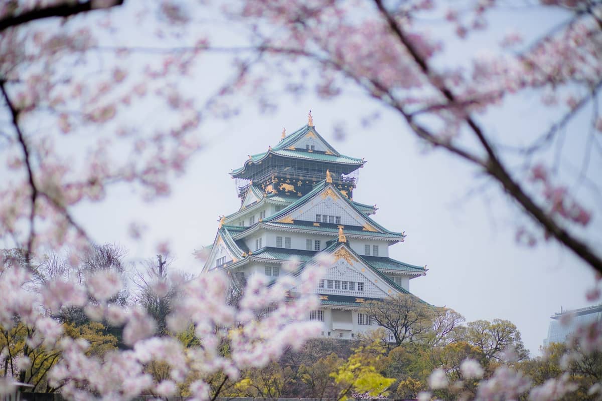 Osaka Castle framed by vibrant cherry blossom branches in full bloom, capturing the essence of cherry blossom season in Osaka.