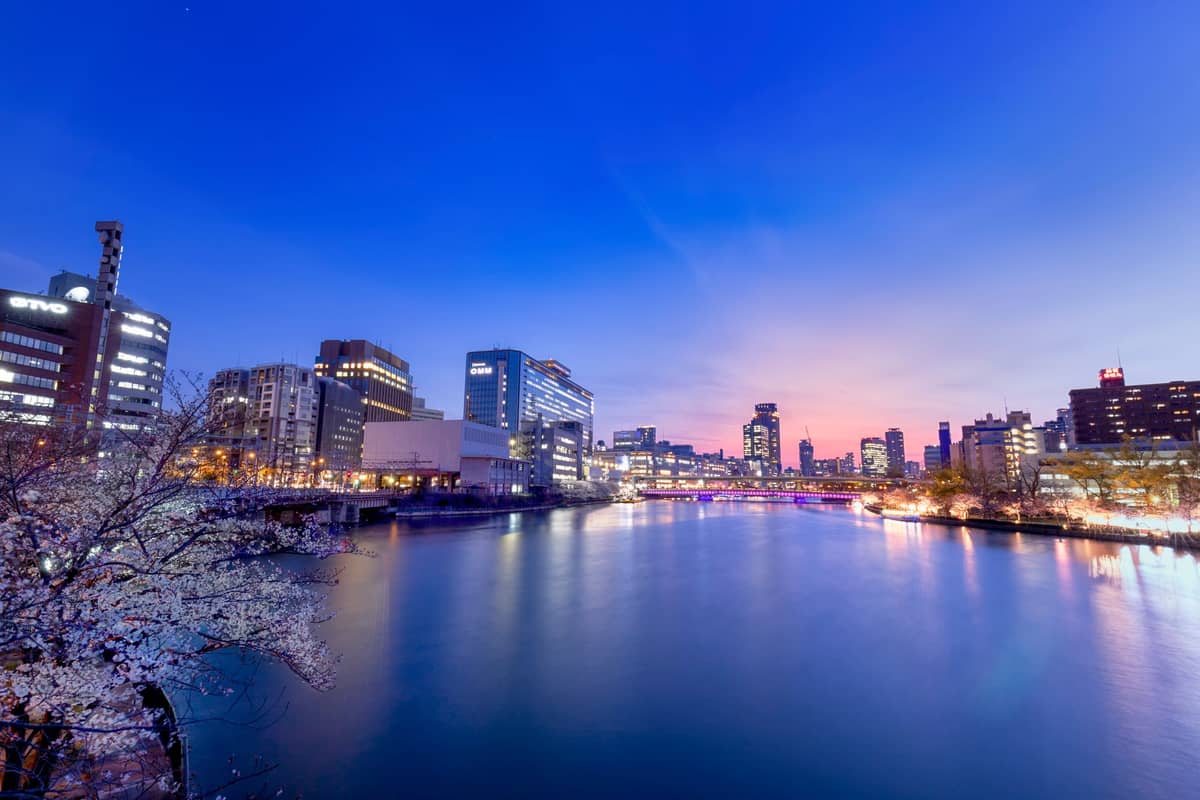 Springtime evening view of the Okawa River in Osaka, with cherry blossoms on the riverbanks and city skyline at sunset.