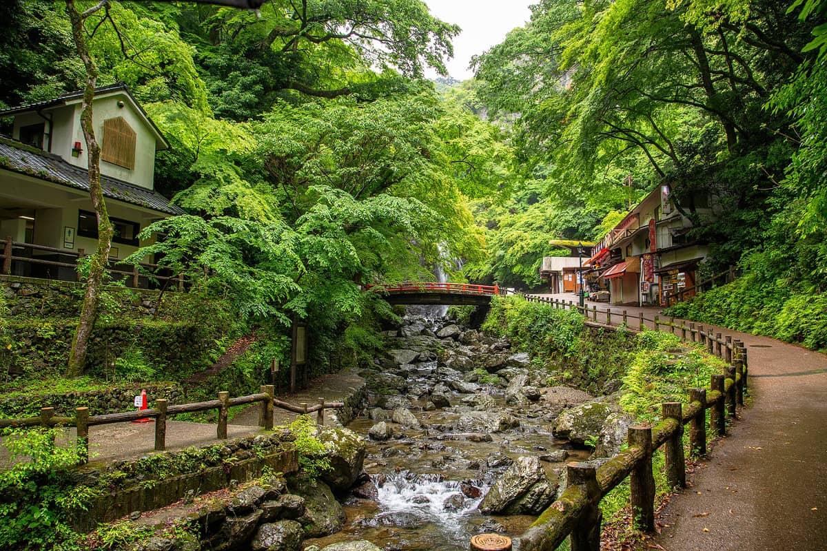 Lush green ravine with a rocky stream, a red bridge, and traditional buildings, showing a popular nature escape near Osaka.