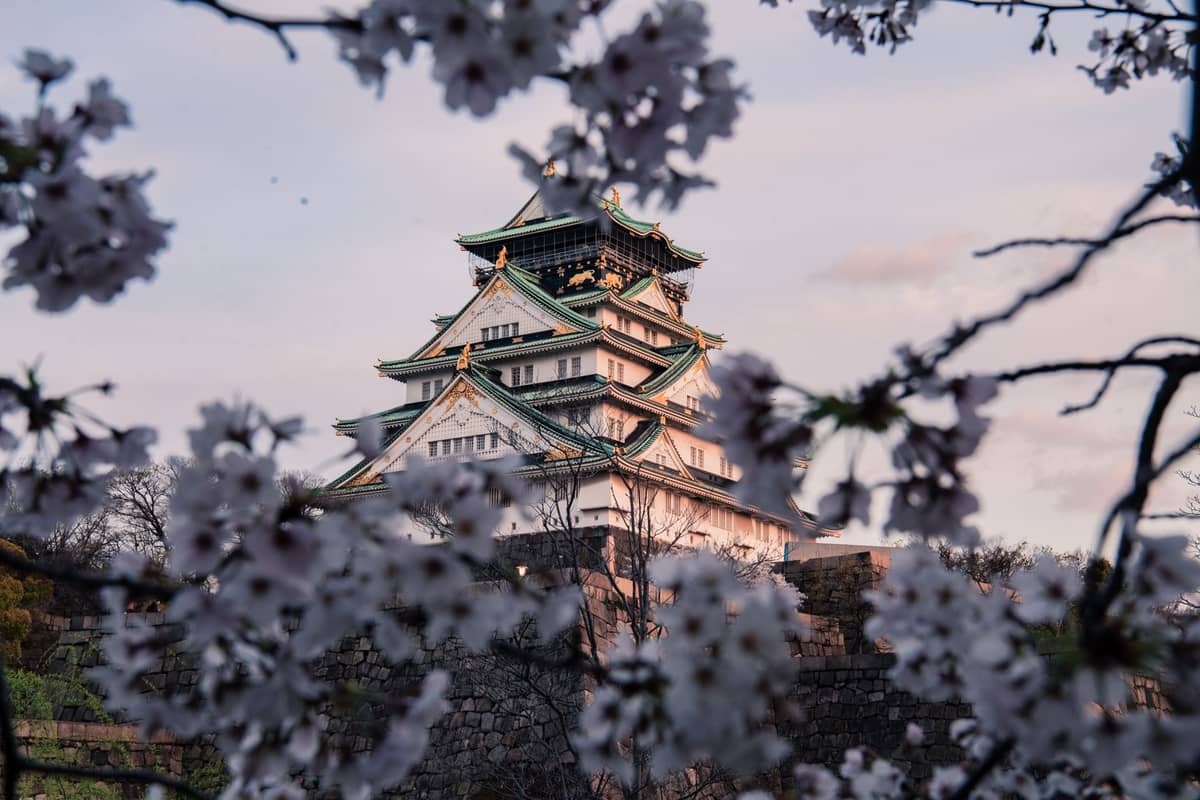 View of Osaka Castle framed by cherry blossoms in full bloom during daylight, evoking peak spring travel season.