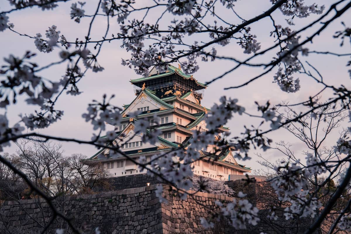 Osaka Castle viewed through cherry blossom branches with stone wall in foreground and soft evening light.