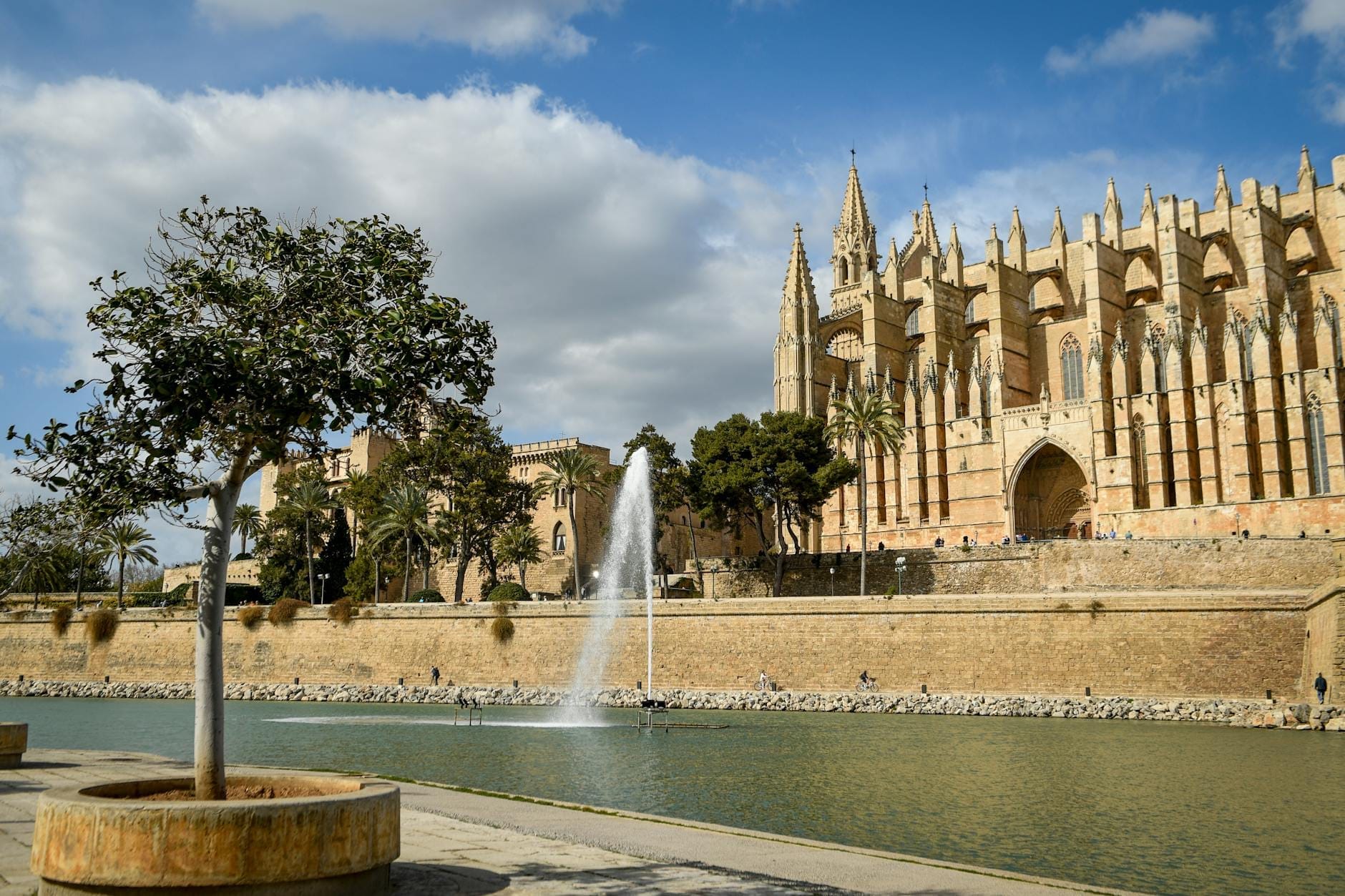 Il Parc de la Mar a Palma con la facciata dorata della cattedrale riflessa nel lago artificiale, cielo sereno e una fontana in primo piano.