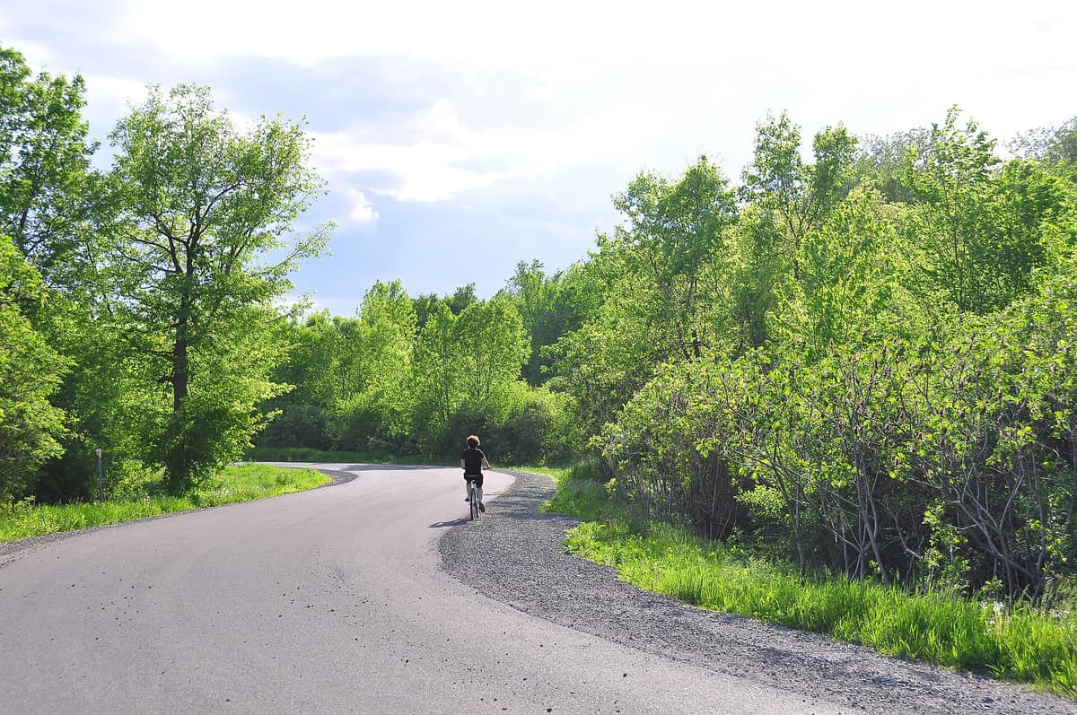 Geschwungener asphaltierter Weg durch üppigen Grünwald im Parc-nature du Cap-Saint-Jacques, auf dem ein Radfahrer zwischen sonnenbeschienenen Bäumen an einem hellen Frühlingstag fährt.