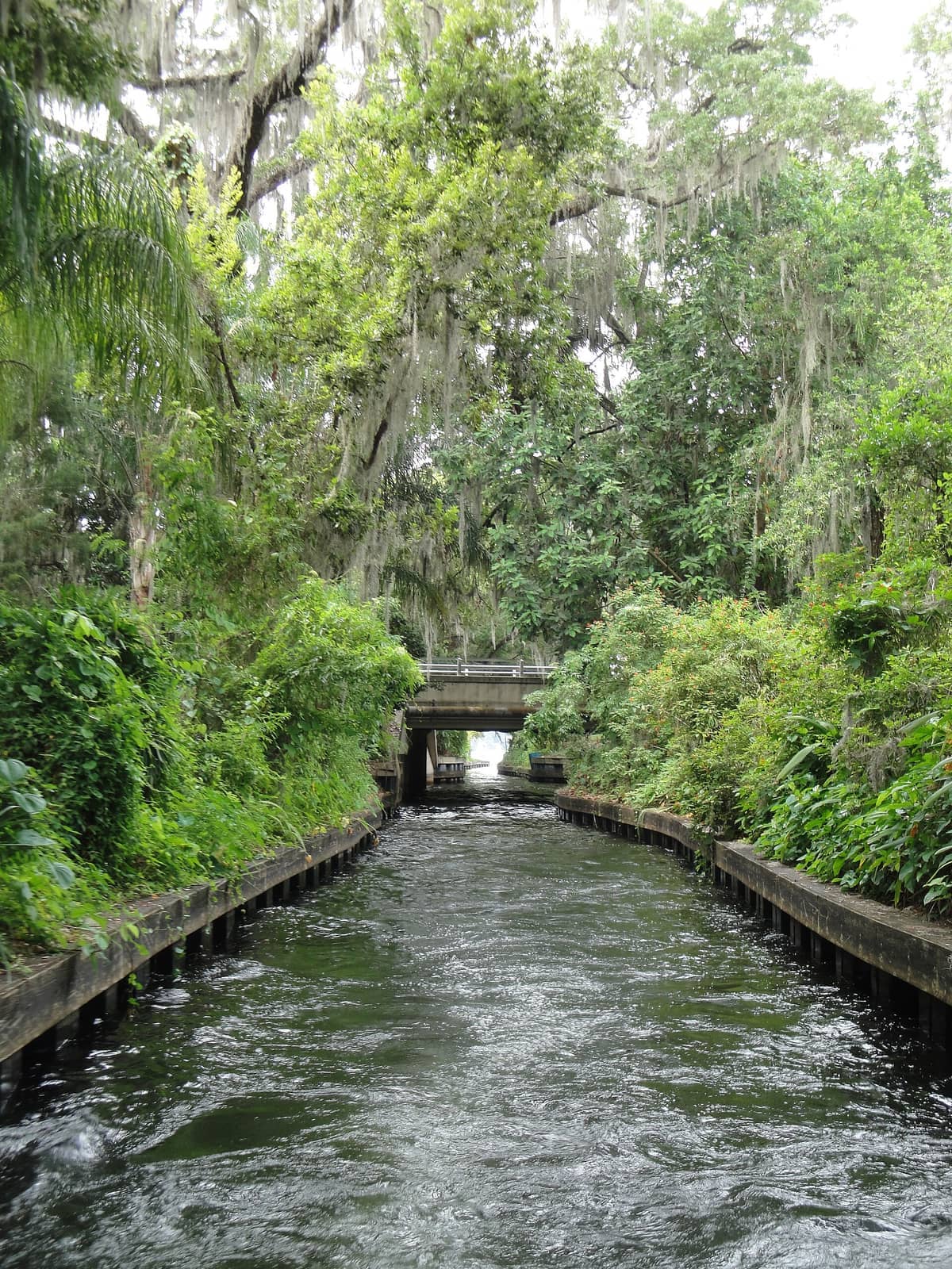 Malerischer Kanal, gesäumt von üppigen grünen Bäumen und Spanish Moss entlang der Park Avenue in Winter Park, mit einer kleinen Brücke im Hintergrund.
