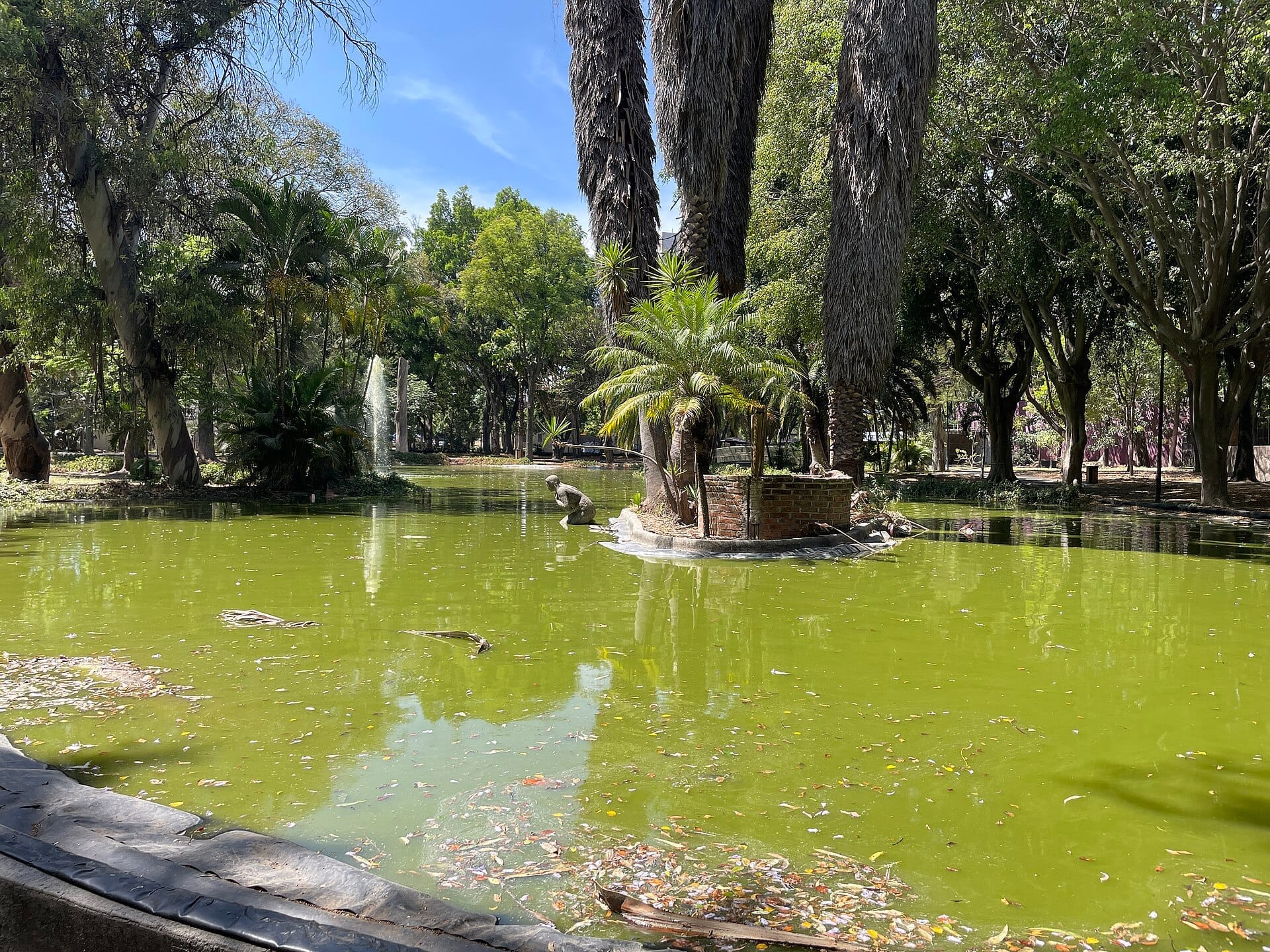Uno stagno con acqua verde, circondato da alte palme e una rigogliosa vegetazione nel Parque Agua Azul, Guadalajara, in una giornata di sole.