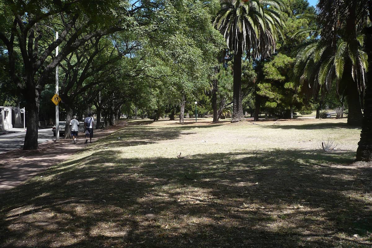 พื้นที่หญ้ากว้างขวางพร้อมต้นปาล์มและต้นไม้ใบดกใน Parque Batlle เมือง Montevideo พร้อมสองคนเดินเล่นในวันที่แดดสดใส