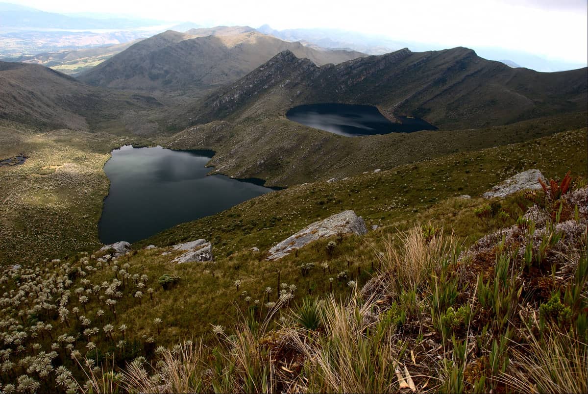 Scenic view of Chingaza National Park with two mountain lakes surrounded by rugged paramo grasslands, hills, and native frailejon plants under a cloudy sky.