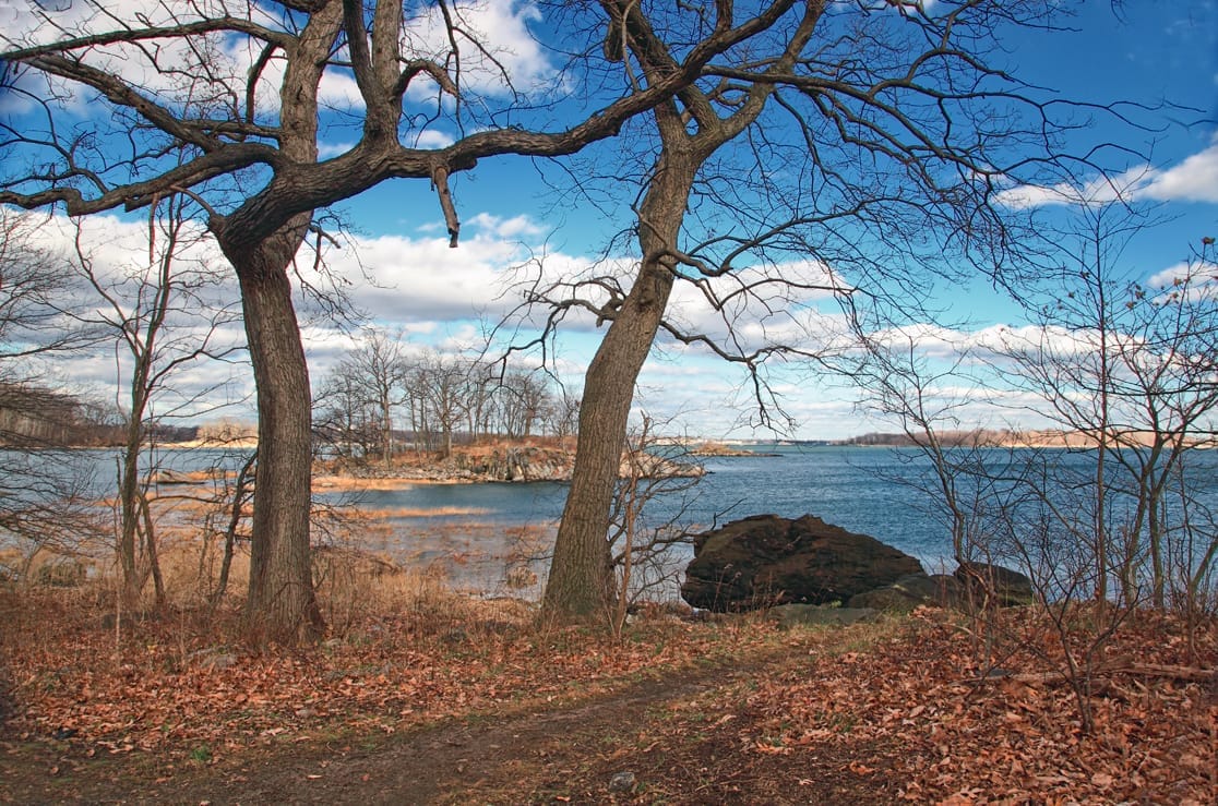 Alberi spogli e riva rocciosa si affacciano sulle acque blu di Pelham Bay Park sotto un cielo luminoso con nuvole sparse.