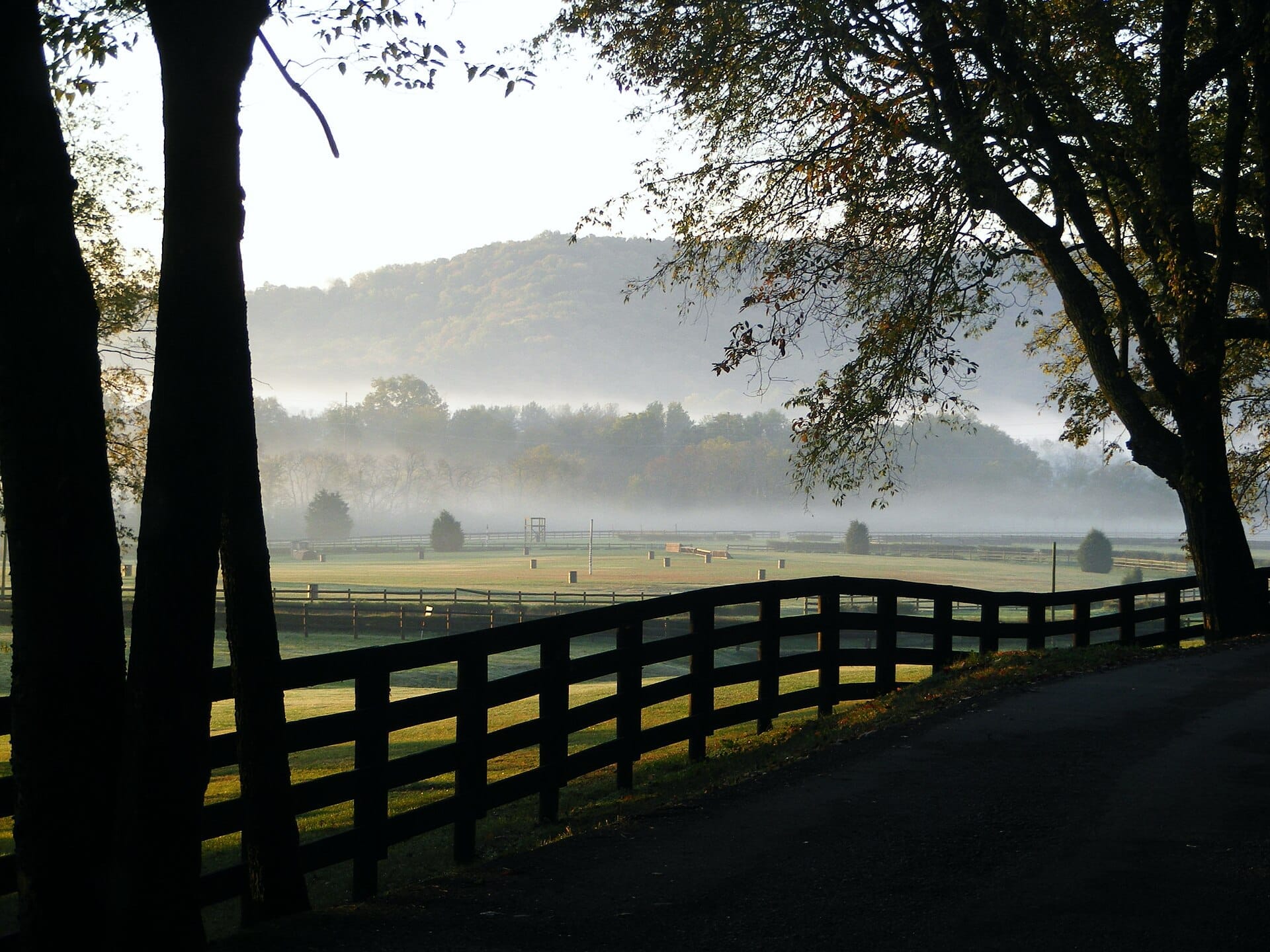 Campos verdes ondulados y cercas de madera de Percy Warner Park al amanecer, enmarcados por árboles altos y niebla sobre lejanas colinas boscosas.