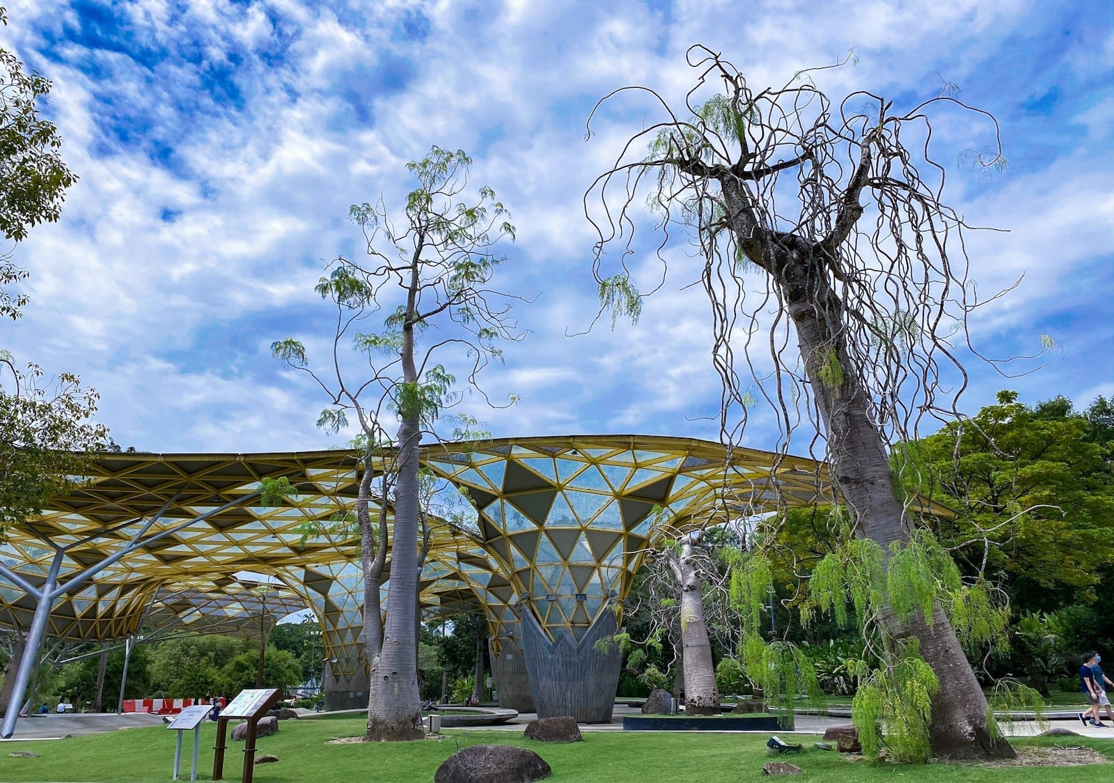 Geometric yellow canopy structures and unique trees in Perdana Botanical Gardens, Kuala Lumpur, under a bright blue sky with scattered clouds.