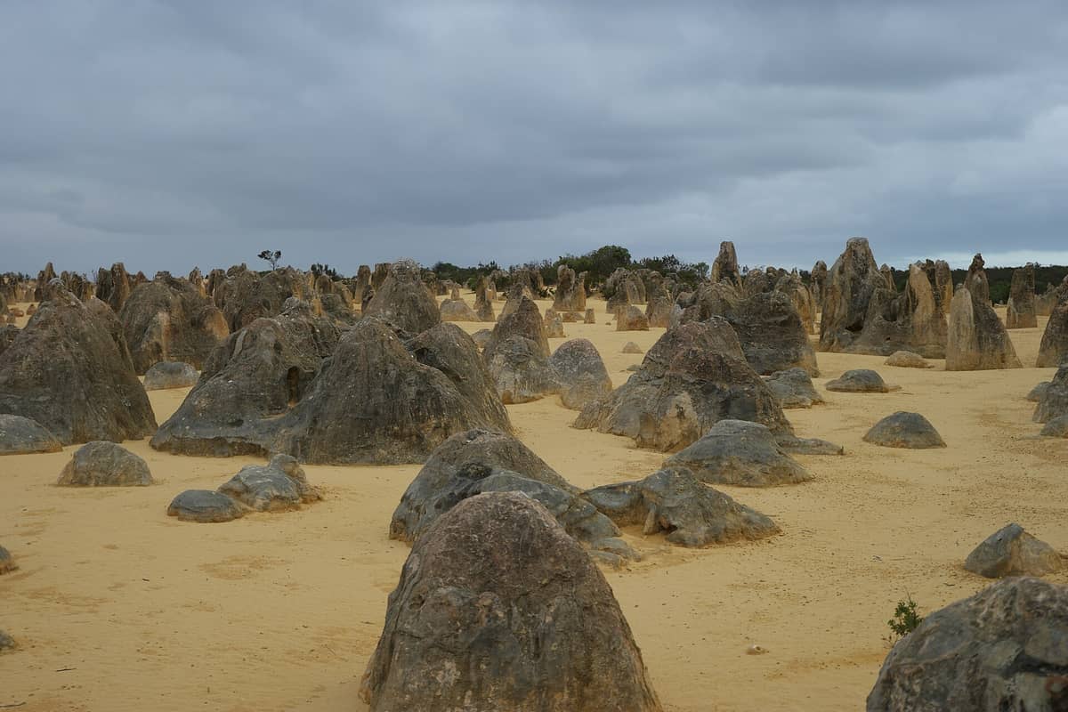 Weite Landschaftsansicht der Pinnacles Desert mit zahlreichen Kalksteinpfeilern, die unter einem bewölkten Himmel aus gelbem Sand ragen.