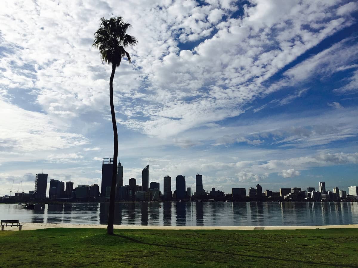 View of Perth city skyline across the Swan River from South Perth foreshore with dramatic clouds and a single palm tree in the foreground.