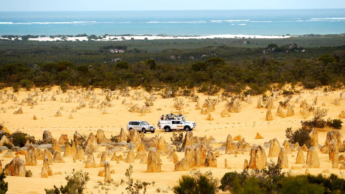 Two cars driving among limestone formations in the Pinnacles Desert with the ocean and greenery in the background.