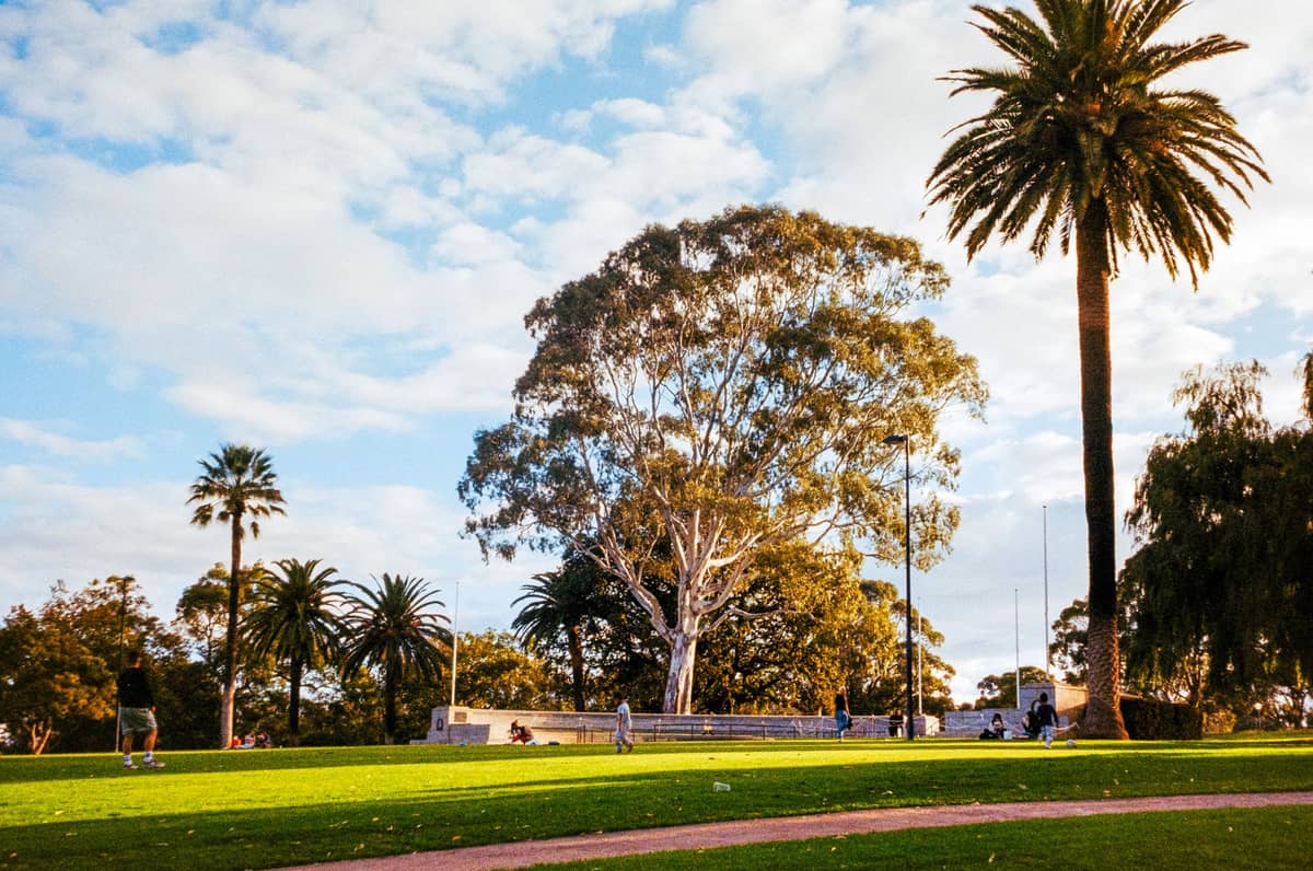 Großer sonniger Park in Perth mit Menschen, grünem Gras, hohen Eukalyptus- und Palmbäumen sowie blauem Himmel, der das lokale Klima und die Außenumgebung veranschaulicht.