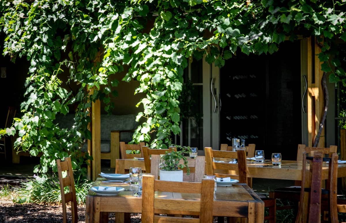 Outdoor restaurant table set for lunch beneath leafy vines, evoking a relaxed Swan Valley vineyard atmosphere.