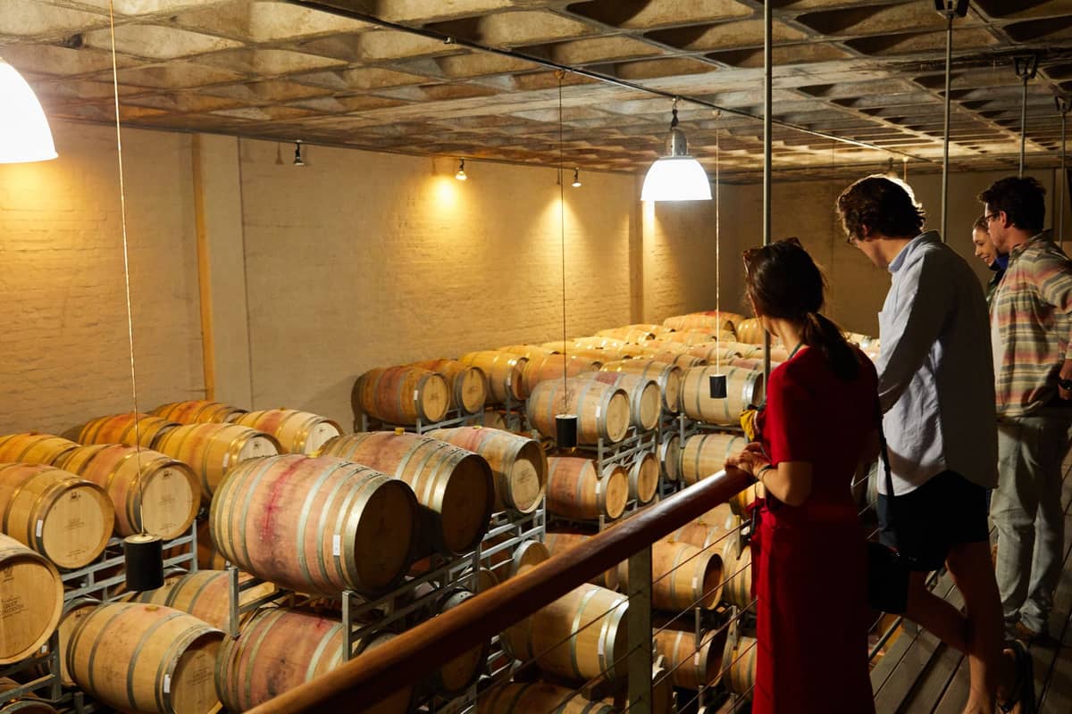 People overlooking a winery barrel room, viewing rows of wine barrels in a cellar lit by overhead lamps.