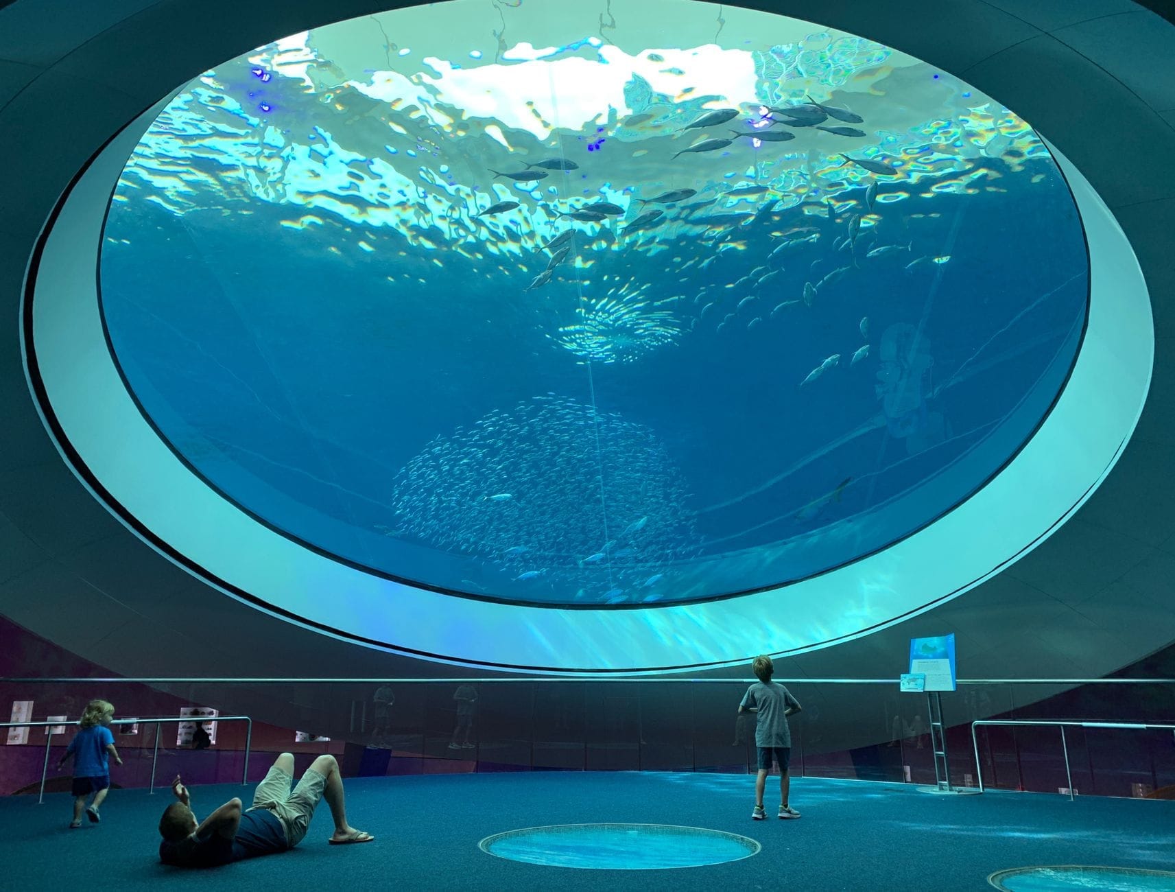 I visitatori osservano l'enorme acquario sul soffitto brulicante di pesci al Philip and Patricia Frost Museum of Science di Miami.
