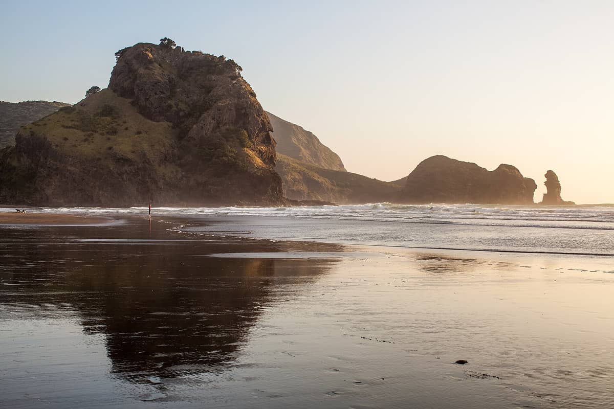 วิวหาด Piha กับ Lion Rock อยู่หน้าฉาก ทรายดำสะท้อนแสงทอง คลื่นซัดขึ้นชายฝั่ง มีหน้าผาสูงสีเขียวด้านหลัง