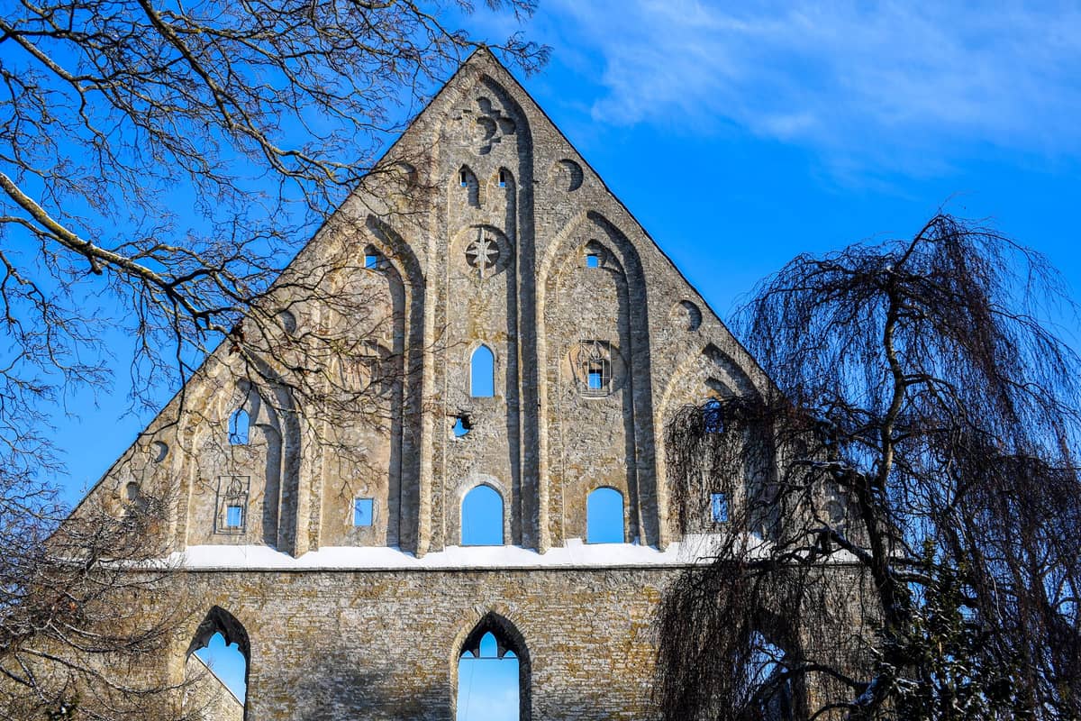 Der markante Dreieckgiebel und die gotischen Bogenfenster der Hauptruine des Klosters Pirita in Tallinn, eingerahmt von winterlichen Bäumen und einem leuchtend blauen Himmel.