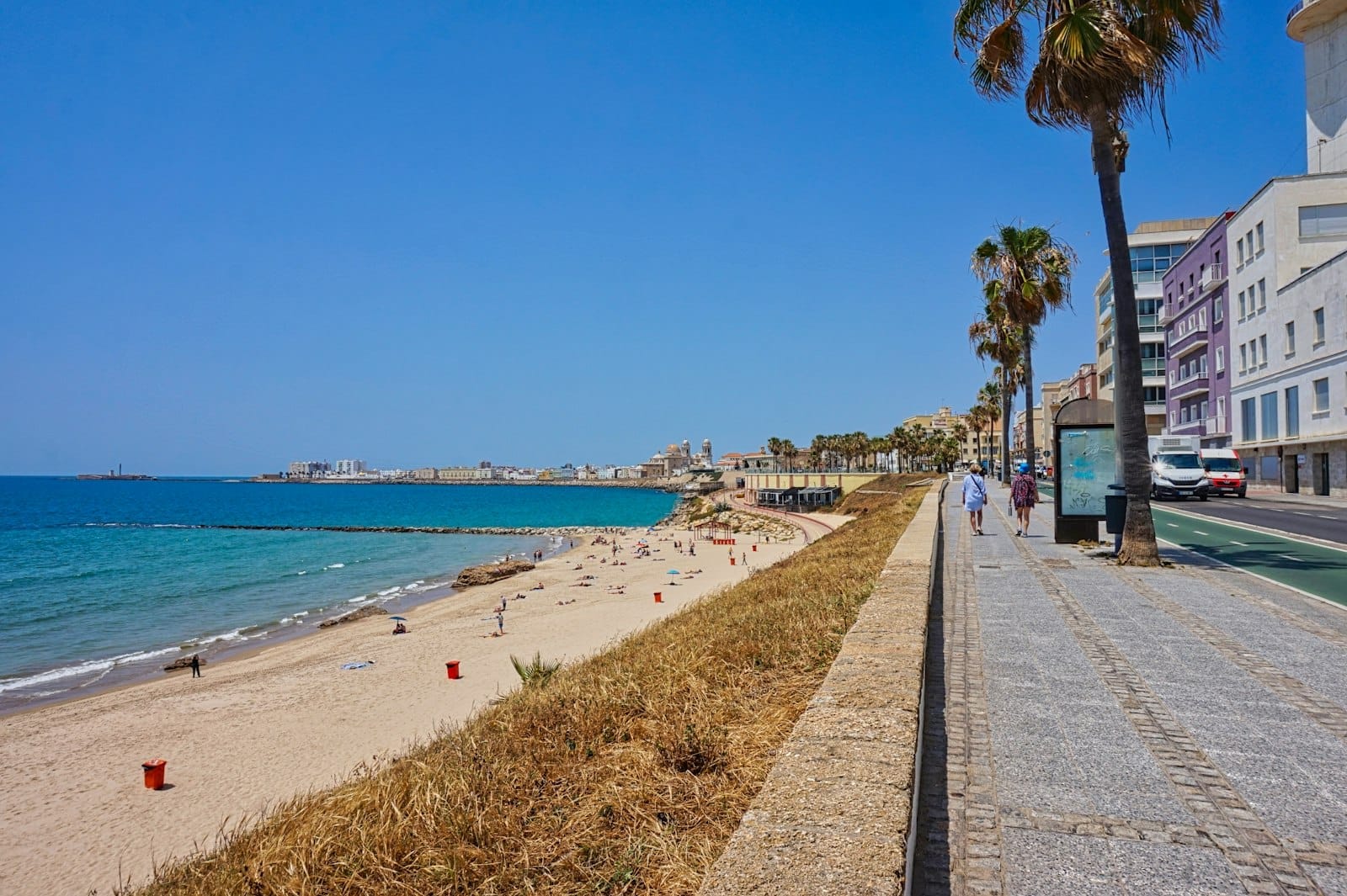 Ampio lungomare fiancheggiato da palme accanto alla Playa de la Victoria, con sabbia, mare turchese e palazzi sotto un cielo azzurro limpido.