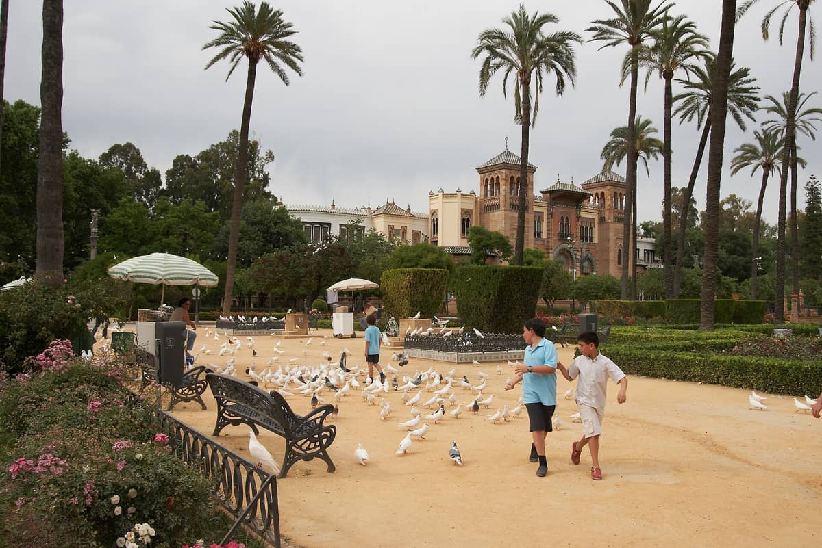 Plaza de América ใน Parque de María Luisa เซบียา เห็นสวนกลาง ต้นปาล์ม ม้านั่ง นกพิราบ และศาลา Neo-Mudejar ที่สะดุดตา